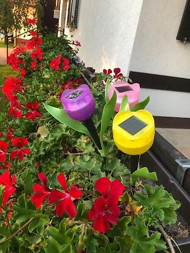 Baštenska rasveta: LED solarne baštenske lampe u obliku tulipana – Flower Power “LED — 1