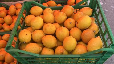 Лимоны: Продажа лимонов с турции