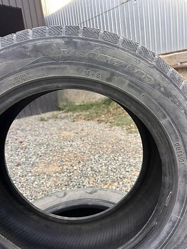 r17 honda: Зимние шины Toyo Observe Garit (GSi-5 / Garit G5, серия Observe) — 2