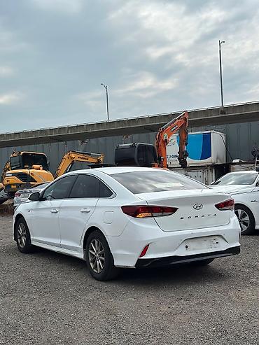 купить авто хендай соната: Hyundai Sonata: 2020 г., 2 л, Автомат, Бензин, Седан — 2