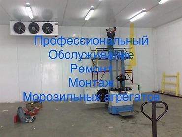 Профессиональные услуги по обслуживанию, ремонту и монтажу морозильных