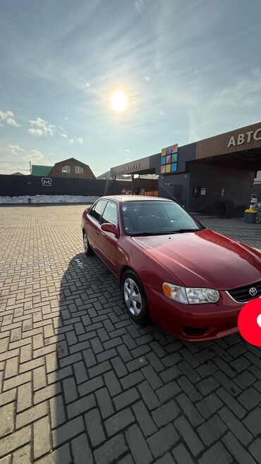 Toyota: Toyota Corolla: 2002 г., 1.8 л, Автомат, Бензин, Седан