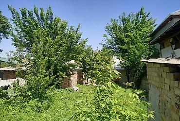 8: 3 комнаты, 55 м², 1 этаж, Косметический ремонт — 2