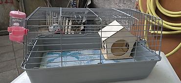 heyvan yemi: Dovşancıq/qravçik (guinea pig) üçün tam avadanlıqlı qəfəs dəsti — 1