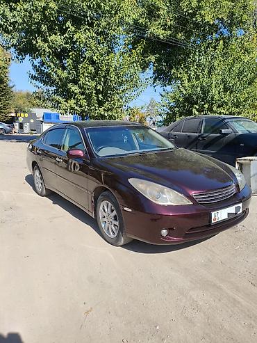 camry universal: Toyota Windom: 2003 г., 3 л, Автомат, Газ, Седан — 2