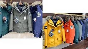 Zimske jakne: THE NORTH FACE, TOP SPORTSKE JAKNE, 2025-26 | Novo! ! ! Hit. Hit — 24