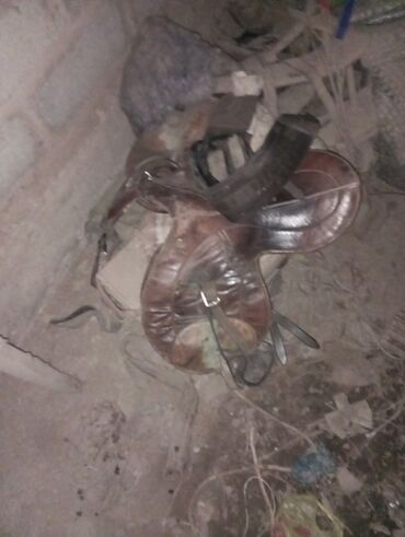 собака бульдок: Кожаное седло для лошади (английского типа) - Материал: натуральная lalafo.kg да собака бульдок: Кожаное седло для лошади (английского типа) - Материал: натуральная