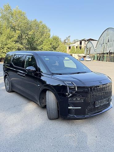 byd e1: Zeekr 009: | 2024 г. Минивэн — 2