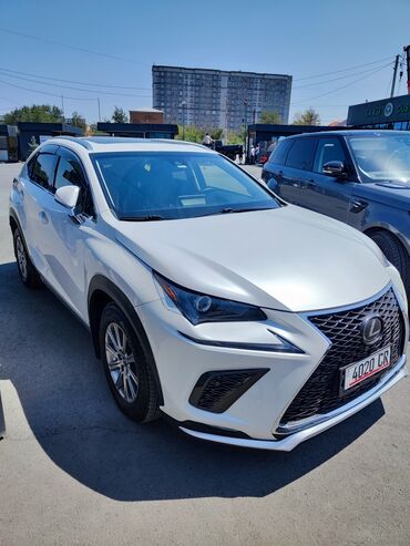электромобиль neta: LEXUS NX 300 срочно! растаможен не оформлен. год 2019 объем 2.0 awd