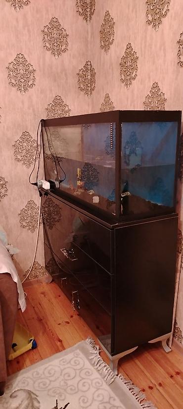 akvarium baliq novləri: Böyük ölçülü şüşə akvarium + şkaf dəsti - Ölçü: 120 sm uzunluq, 50 — 8