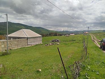 novxanı torpaq: 17 sot, Tikinti, Mülkiyyətçi, Kupça (Çıxarış) — 1