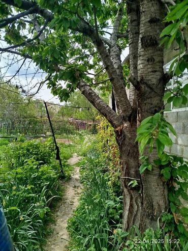 деревянные дома из бруса: Дом, 110 м², 4 комнаты, Риэлтор, ПСО (под самоотделку)