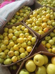 мягкий мебель в бишкеке: Яблоки Голден, Оптом