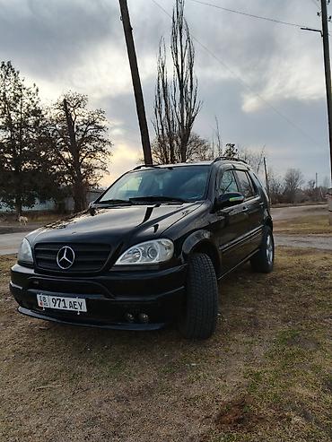 smart open: Mercedes-Benz ML-Class: 2003 г., 3.7 л, Автомат, Бензин, Внедорожник — 3