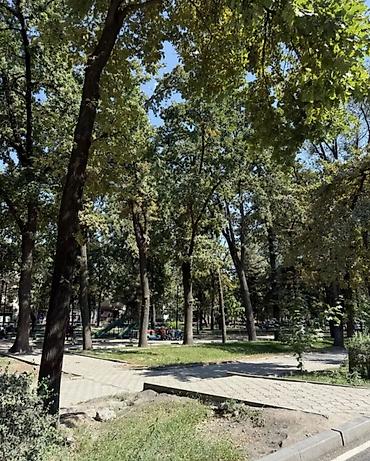 Продажа квартир: 2 комнаты, 50 м² — 4