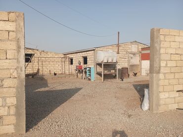 mingecevirde satilan menziller: 12 sotun içində həyatyanı ferma satılır.70 baş iri buynuzlu mal