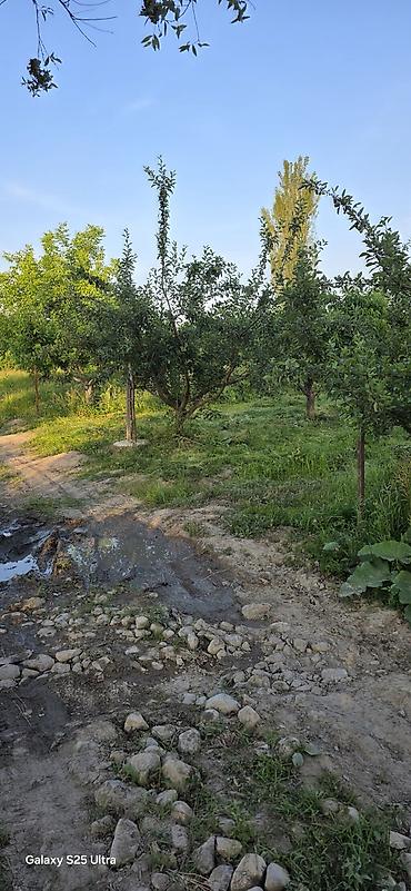 кен сай пост: 23 соток, Действующий, Без оборудования, Холодная вода — 3