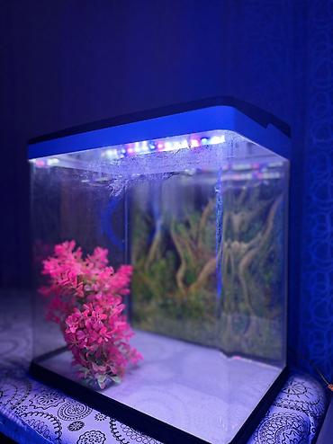 suni bitki: Delsa Aquarium K390 akvarium - Model: K390 (üst qapaqda etiket) - — 1