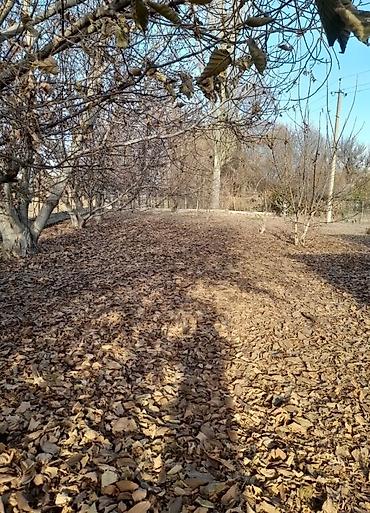 Продажа участков: 32 соток, Красная книга at lalafo.kg — 6 Продажа участков: 32 соток, Красная книга — 6