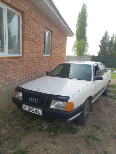 Audi: Audi