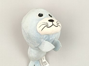 Mascot condition - Perfect