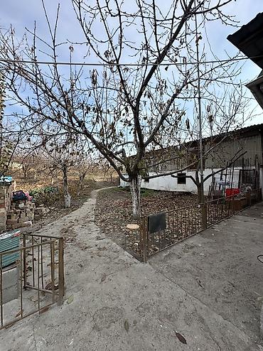 Продажа коттеджей и домов: 📍 В Сокулуке от трассы 100 метров продаётся дом на участке 6 соток — 5