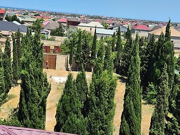 şeki: 10800 sot, Bələdiyyə — 8