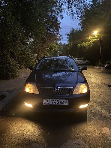 jelly машина: Toyota Corolla: 2003 г., 1.6 л, Механика, Бензин, Универсал — 10