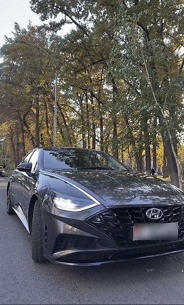 lexus es 2021: Hyundai Sonata: 2020 г., 1.6 л, Автомат, Бензин, Седан — 1