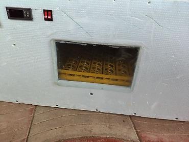 İnkubatorlar: 100 yumurta, Azərbaycan, Tam avtomat, Bütün növ quşlaq üçün — 2