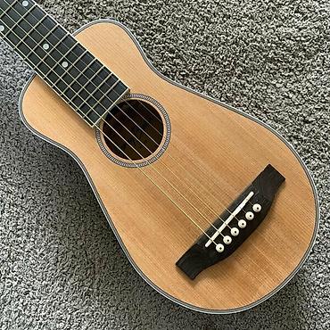 Гитары: Travel гитара "Harley Benton" Traveler E-Steel. Германия, бренд — 14