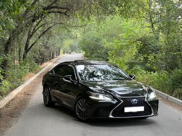 corolla runx: Lexus ES: 2019 г., 2.5 л, Вариатор, Гибрид, Седан