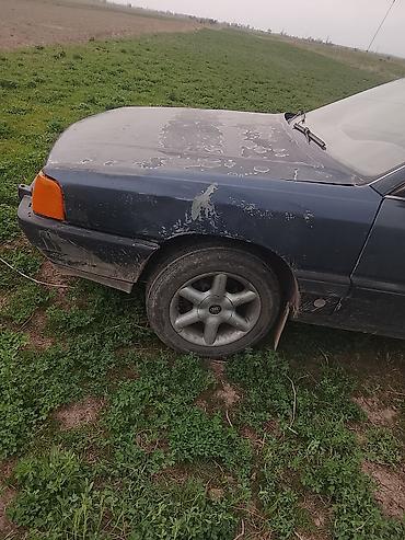 Audi: Audi 100: 1986 г., Седан — 6