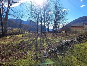 Torpaq sahələrinin satışı: 9 sot, Tikinti, Mülkiyyətçi, Kupça (Çıxarış) — 5