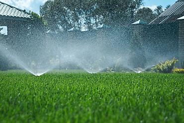 Другие системы полива: 🔥 ГАЗОН ПОД КЛЮЧ В БИШКЕКЕ 🌱 Хочешь ровный, густой газон без — 2