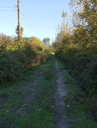 Torpaq sahələrinin satışı: Tikinti — 4