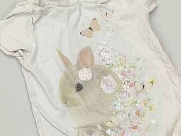 koszulki wilk: Koszulka, H&M, 5-6 lat, 110-116 cm, stan - Dobry