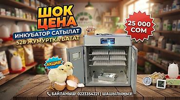 Инкубатор для яиц — вместимость 528 штук. Особенности: -