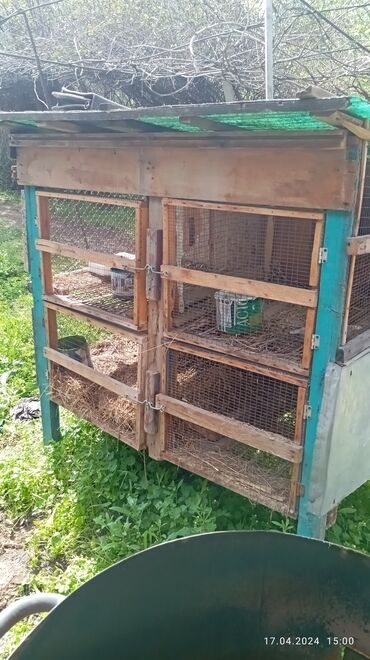 продаю кролики: Клетка для Кроликов,4 бункера внутри,хорошем состоянии,можно и цыплят