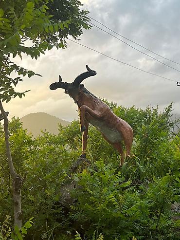Fiqurlar: Fiqur — 6