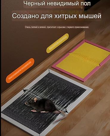 мышые: Клеевая ловушка для мышей и крыс BAOZHU Качество - 💯 - Формат — 6