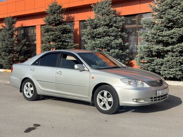амортизатор тоета камри: Toyota Camry: 2003 г., 2.4 л, Бензин