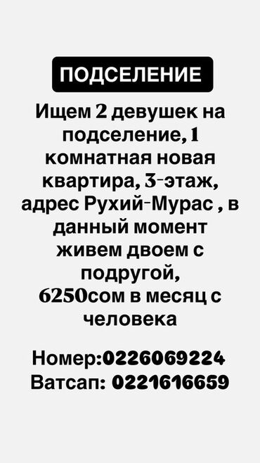 снять квартиру долгосрочной: 1 комната, Собственник
