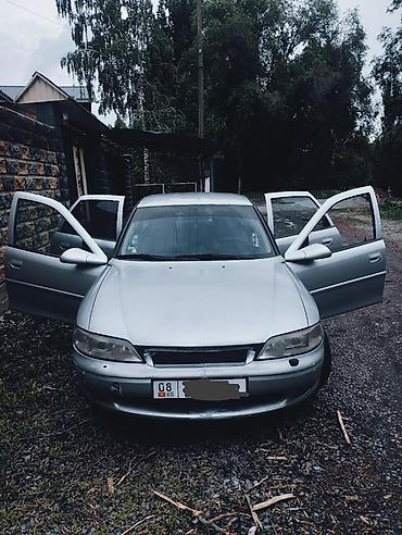 Opel Vectra: 2001 г., 1.6 л, Механика, Бензин, Лифтбек