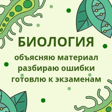 программы для 3d моделирования houdini: Репетитор Биология Сынактарга даярдоо