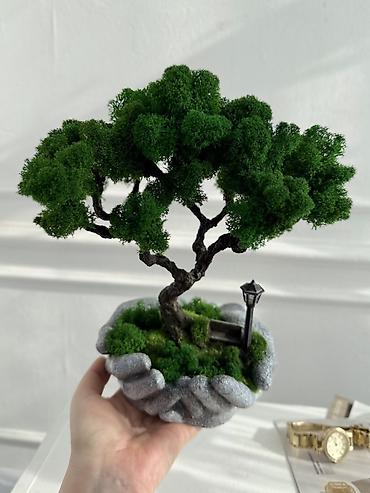 Декоративные цветы: В переводе с японского Бонсай означает «дерево, выращенное в блюде» — 67