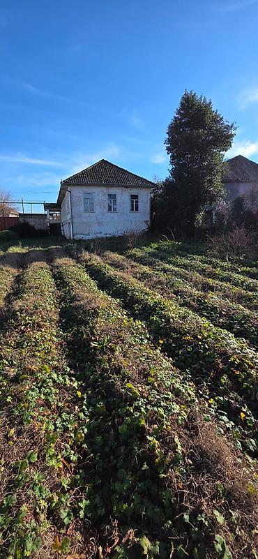 Torpaq sahələrinin satışı: 6 sot, Biznes üçün, Barter mümkündür, Kupça (Çıxarış), Texniki pasport — 18