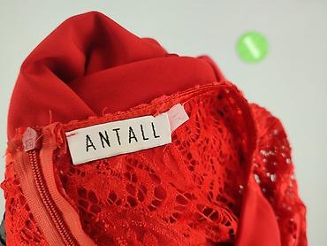 eldan hurt: ANTALL, Sukienka damska, rozmiar XL — 5