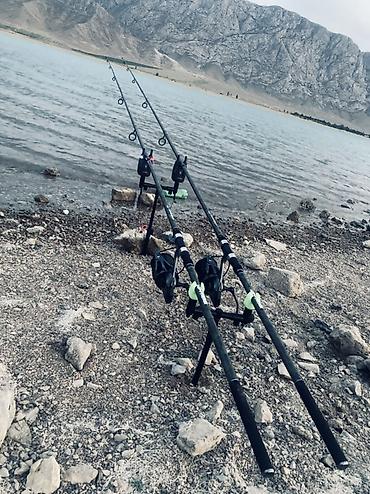 Рыболовная оснастка: Карповый комплект: удилища + большие безынерционные катушки Состав: - — 1