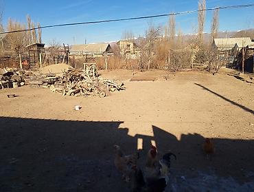 Продажа коттеджей и домов: Кочкор центрдан 5 бөлмөлүү үй сатылат. үйдүн көрүнүшү сүрөттөдүгөй — 5